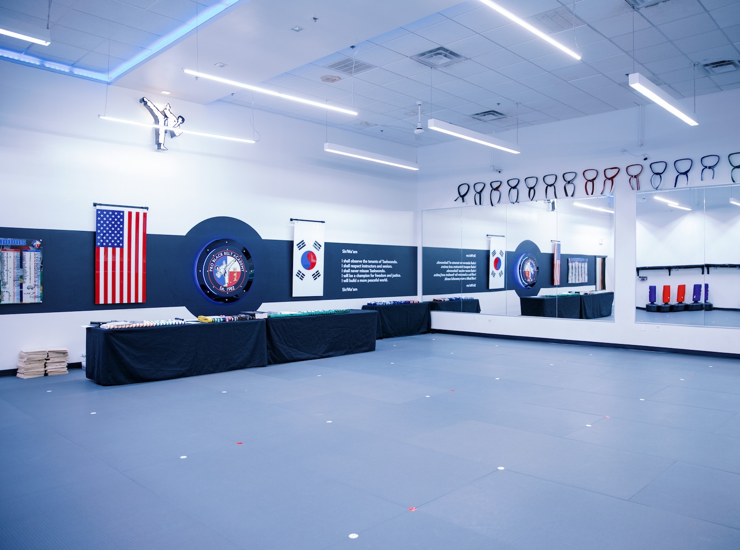 Professional Black Belt Academy Headquarters — Prosper, TX