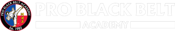 Professional Black Belt Academy